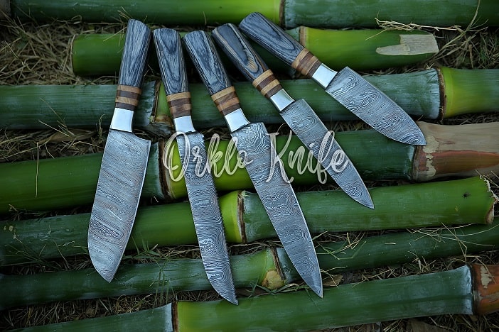 http://www.damascusknifehub.com/cdn/shop/products/knife-set-of-5-pcs.jpg?v=1644838429