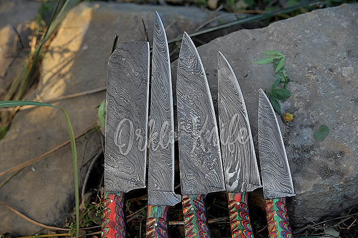 Handmade Damascus Chef Knife Set of 5 With Multicolor Dollar Sheet